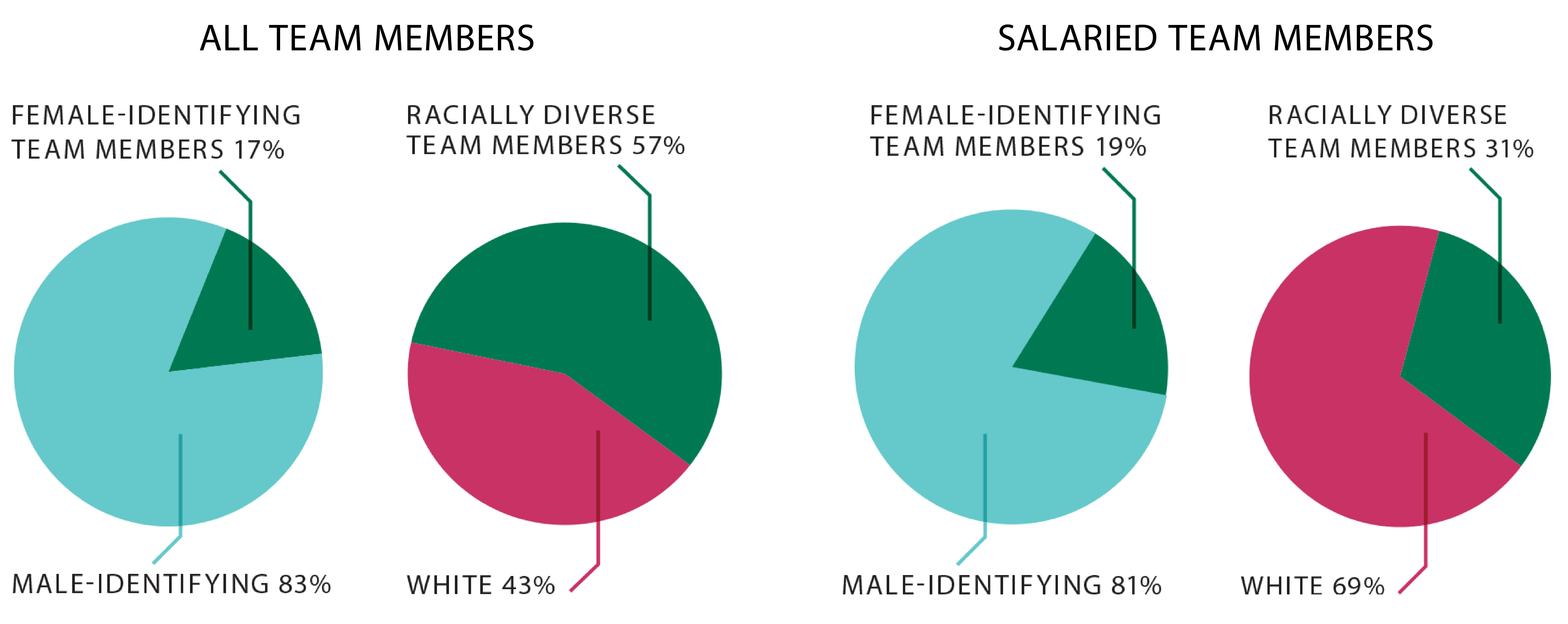 Pie charts on diversity, equity and inclusion
